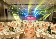 婚庆礼仪策划|婚礼活动策划|婚礼庆典策划|婚庆策划